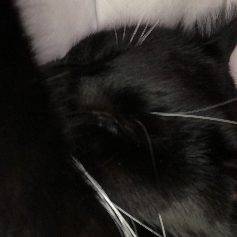 Meet your Posher, Mina